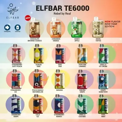 ELF BAR TE6000 ( 6000 PUFFS ) DISPOSABLE VAPE INDIA